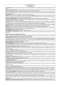 Scheda semplificata "L`aggressivita"