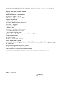 2ªA - I.P.S.A.R. "Tortolì"