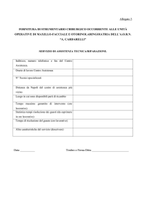 allegato 3 - scheda servizio assistenza tecnica