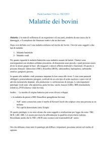 PRINCIPALI MALATTIE BOVINI (Paolo Lucchese
