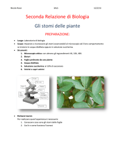 Relazione di biologia 2
