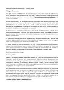 Anatomia Patologica 12.01.2013 parte 2 Valentina Iasiello Polipi