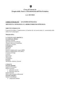Programma