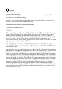 Q - Studio di Psicologia e Psicoterapia Mantova dr Carla Foletto
