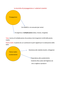 moltiplicazione