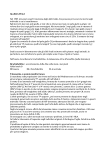 ALLELI LETALI Nel 1905 L.Cuenot scoprì l`esistenza degli alleli