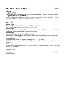 CLASSE 3° SPERIMENTALE LINGUISTICO