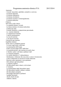 4B - A.SEGNI