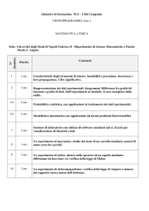 MAT+-FISICA_Iniziative-di-formazionePLS_FEDERICO