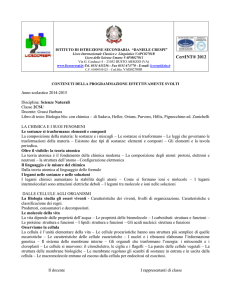 contenuti della programmazione effettivamente svolti