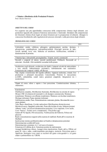 RICHIESA PROGRAMMA DEL CORSO