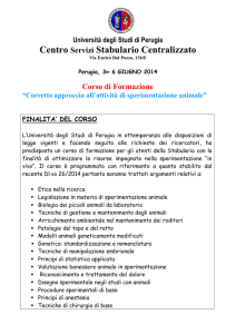 Corso di Formazione 2014