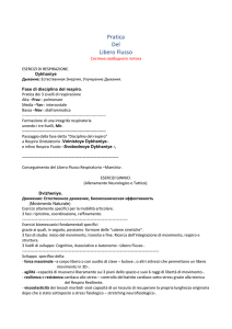 Pratica Del Libero Flusso Система свободного потока ESERCIZI