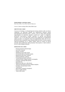 Endocrinologia e nutrizione umana