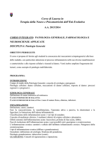 Programma - Professioni Sanitarie