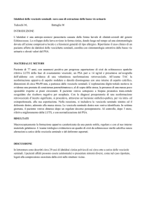 Idatidosi delle vescicole seminali: raro caso di ostruzione delle