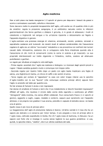 Aglio medicina - Gela Città di Mare