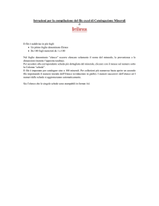 Istruzioni per la compilazione del file excel di Catalogazione