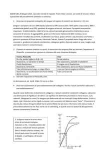 ESAME DEL 28 Giugno 2013. Qui sotto trovate le risposte. Punti