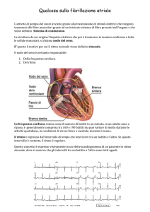 Fibrillazione atriale web.