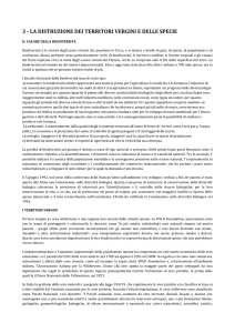 Lavori di gruppo su problematiche ecologiche 5°A