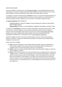 Leggi un estratto