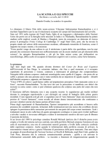 la scatola e gli specchi
