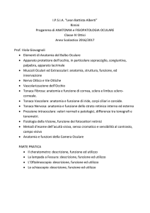 4A_anatomia_as_16_17 - IPSIA " L. Battista Alberti "