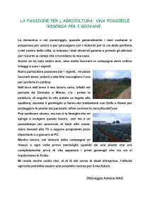 la passione per l*agricoltura: una possibile risorsa per i giovani