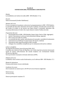 La modelllistica sul rischio di credito (SPSS Modeler)
