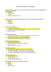 simulazione prova intercorso