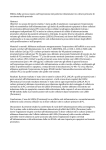 Effetto della serenoa repens sull`espressione dei patterns