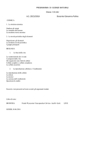 cellule cellula -mediante -numero -anche