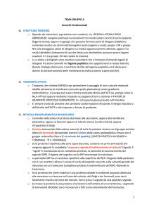 Concetti chiave non assimilati da tutti (Temi gruppo A)