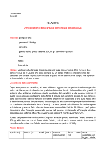360_relazione fisica