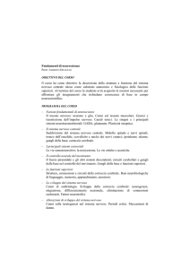 Fondamenti di neuroscienze