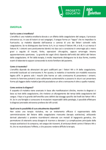 emofilia - Provincia di Pesaro e Urbino