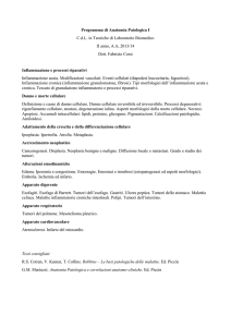 Anatomia patologica 1