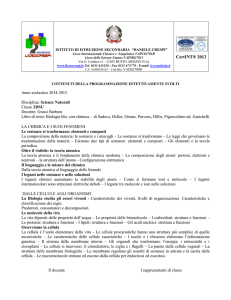 contenuti della programmazione effettivamente svolti