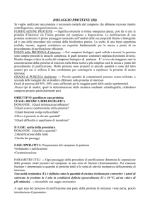 dosaggio proteine (08)