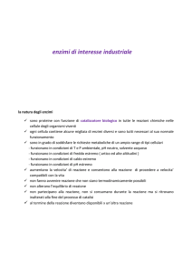 principali settori di impiego degli enzimi