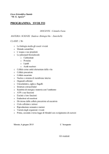 programma svolto - Liceo Statale MG Agnesi