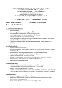 PROGRAMMA SVOLTO anno scolastico 2014 /2015