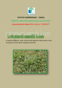 PROGETTO ECOSCHOOL CLASSI 5 Plesso SORRENTI