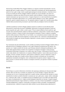 Chi siamo - Amica Card