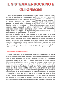 Tesi di scienze il sistema endocrino e gli ormoni