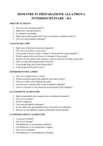 Domande in preparazione alla prova