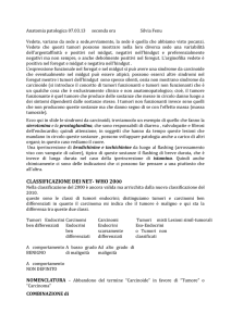 Carcinoma NE Ben differenziato
