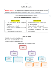 La biodiversita