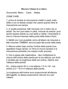 misurare l`altezza delle piante